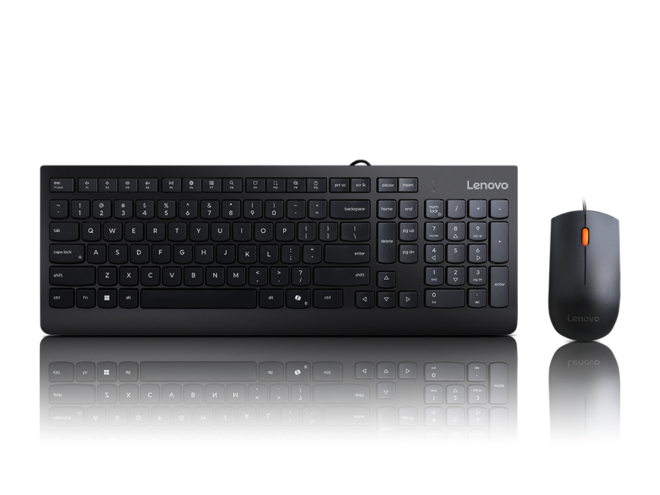 Lenovo 300 USBコンボ フルサイズ 有線キーボード＆マウス エルゴノミック 左利きまたは右利きマウス 光学マウス GX30M39606 ブラック