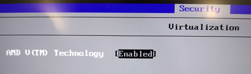 Virtualization options location